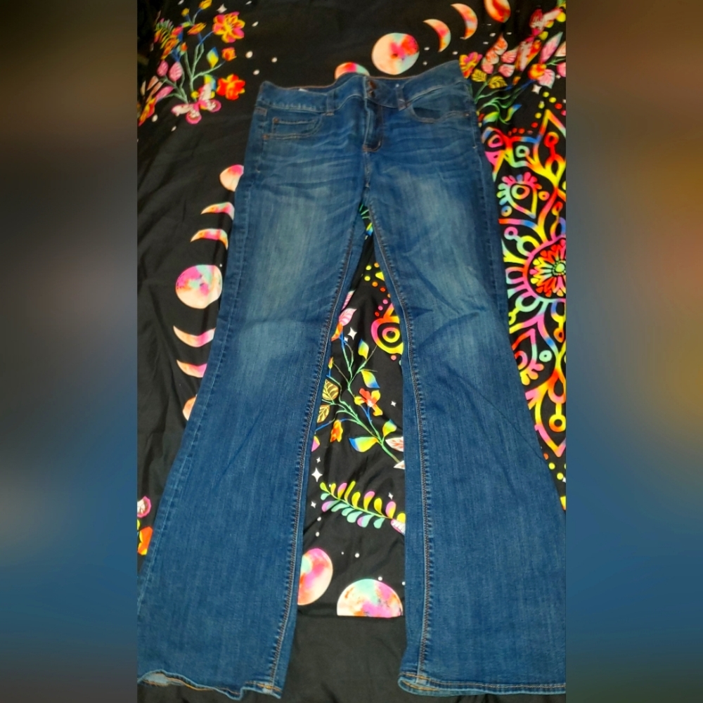 American Eagle Jeans Artist Flare 12 L